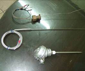 Temperature probe 